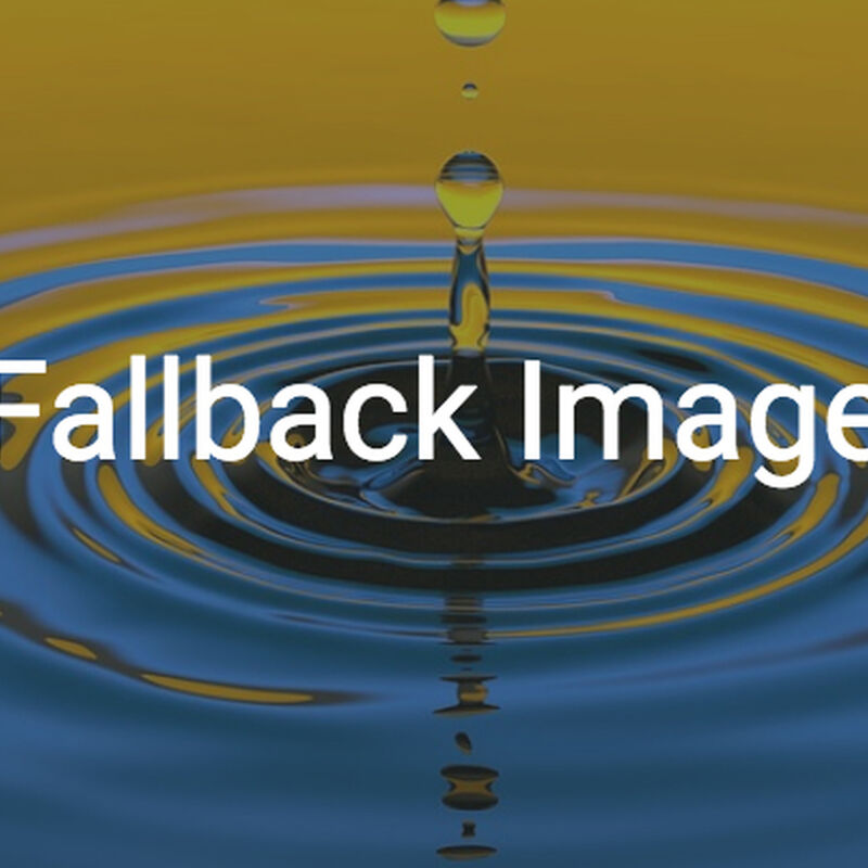 Fallback Image
